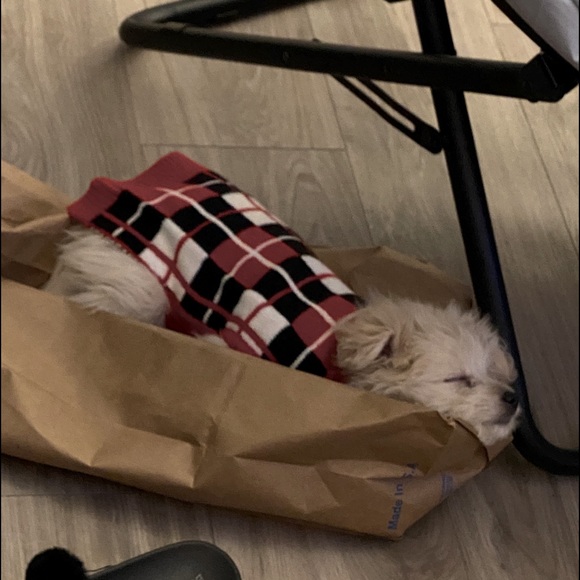 Meet your Posher, Katherine - Picture 6 of 7